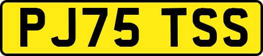 PJ75TSS