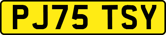 PJ75TSY