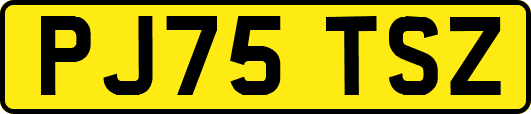 PJ75TSZ