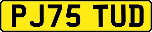 PJ75TUD