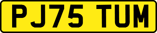 PJ75TUM
