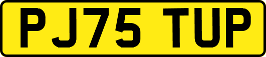 PJ75TUP
