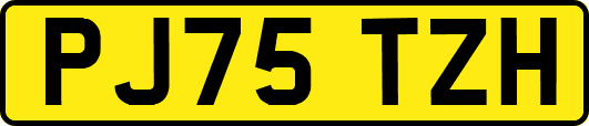 PJ75TZH