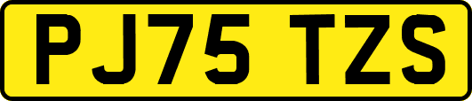 PJ75TZS