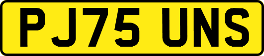 PJ75UNS