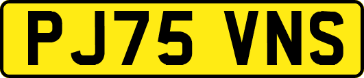 PJ75VNS