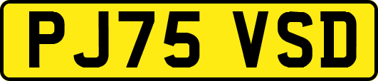 PJ75VSD