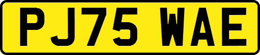 PJ75WAE