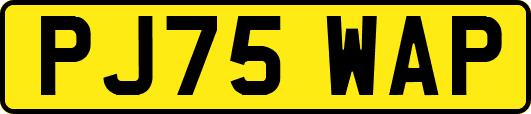 PJ75WAP