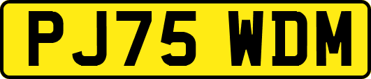 PJ75WDM