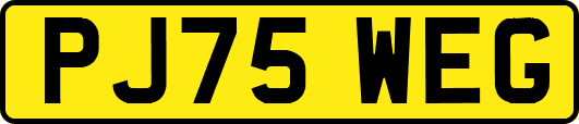 PJ75WEG