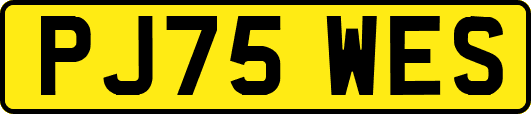 PJ75WES