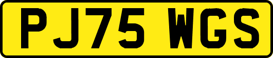 PJ75WGS