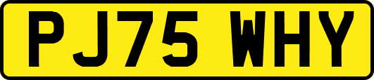 PJ75WHY