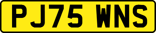 PJ75WNS