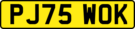 PJ75WOK