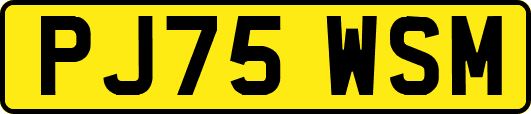 PJ75WSM