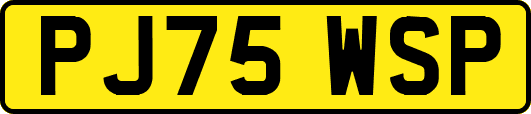 PJ75WSP