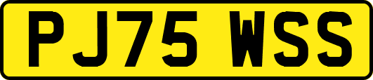 PJ75WSS