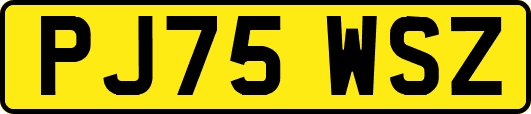 PJ75WSZ