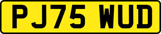 PJ75WUD