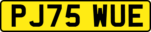 PJ75WUE