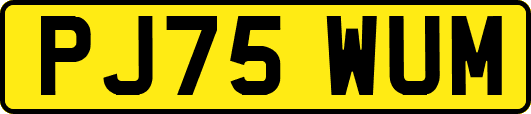 PJ75WUM