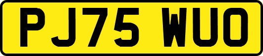 PJ75WUO