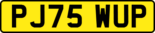 PJ75WUP