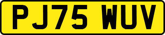 PJ75WUV