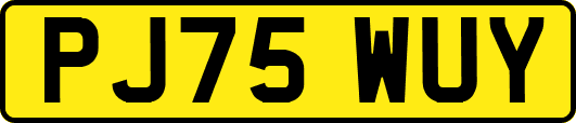 PJ75WUY