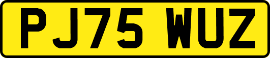 PJ75WUZ