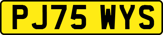 PJ75WYS
