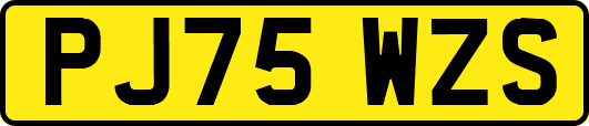 PJ75WZS