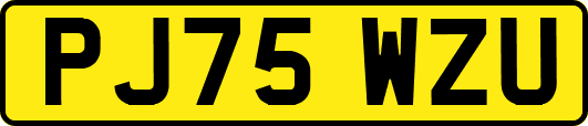 PJ75WZU