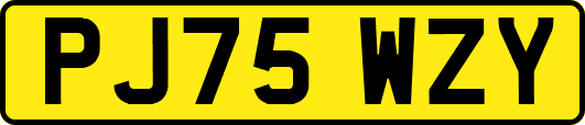 PJ75WZY