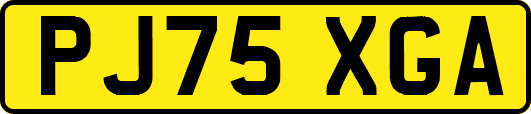 PJ75XGA