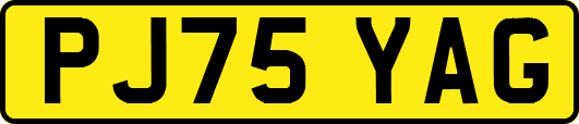 PJ75YAG