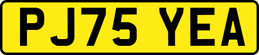 PJ75YEA