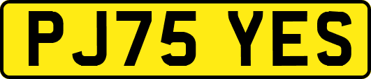 PJ75YES