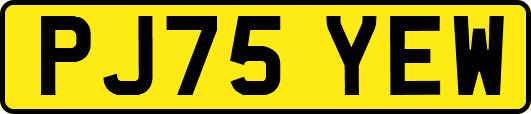 PJ75YEW