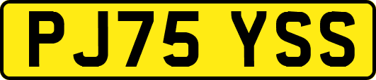 PJ75YSS
