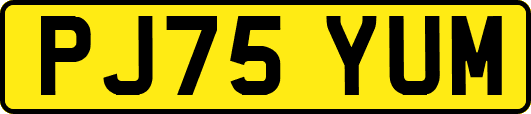 PJ75YUM