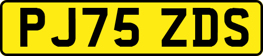 PJ75ZDS