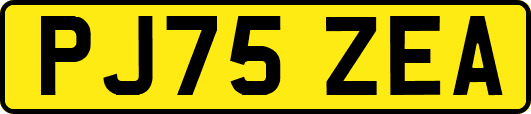 PJ75ZEA