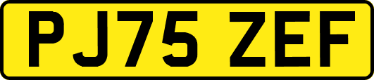 PJ75ZEF