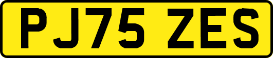 PJ75ZES