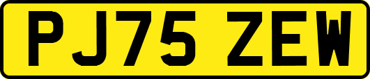 PJ75ZEW