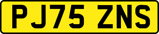 PJ75ZNS