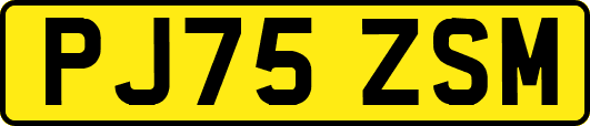 PJ75ZSM